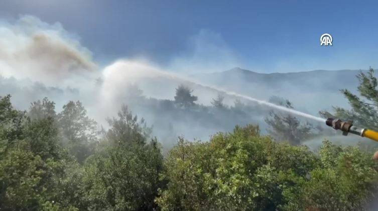 Sakarya'da orman yangını - Resim: 2